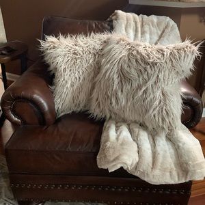 Pair Pillow cushions